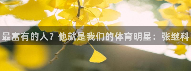 MK体育官方正版app集团E.ON：最富有的人？他就