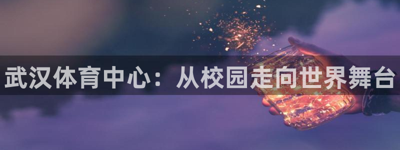 MK体育官方正版app集团官网首页：武汉体育中心：从