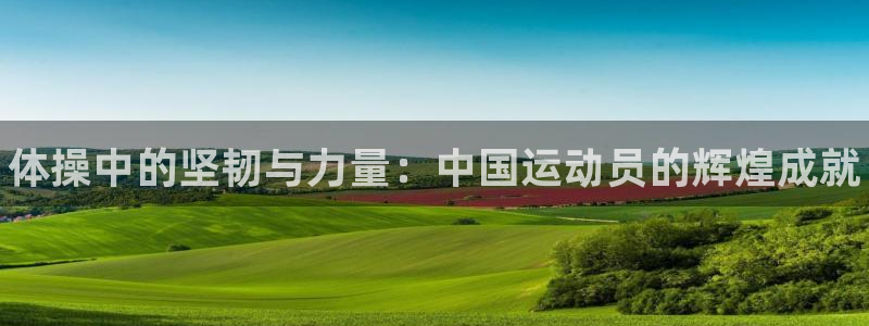 海南MK体育官网下载发展怎么样：体操中的坚韧与力量：