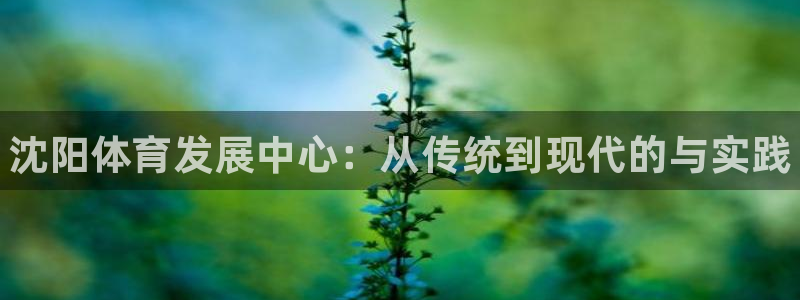 MK体育官网下载平台APP：沈阳体育发展中心：从传统到现代的