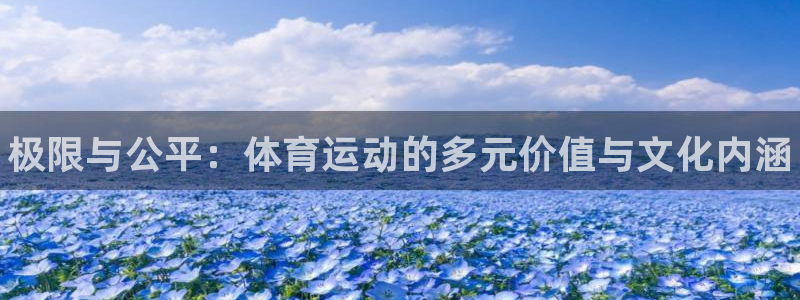 注册MK体育官方正版app：极限与公平：体育运动的多