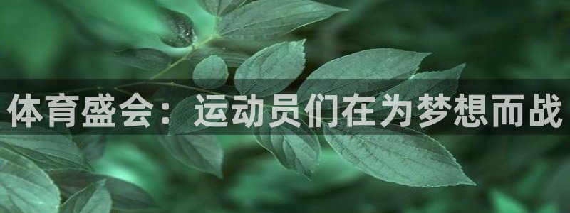 海南MK体育官网下载：体育盛会：运动员们在为梦想而战