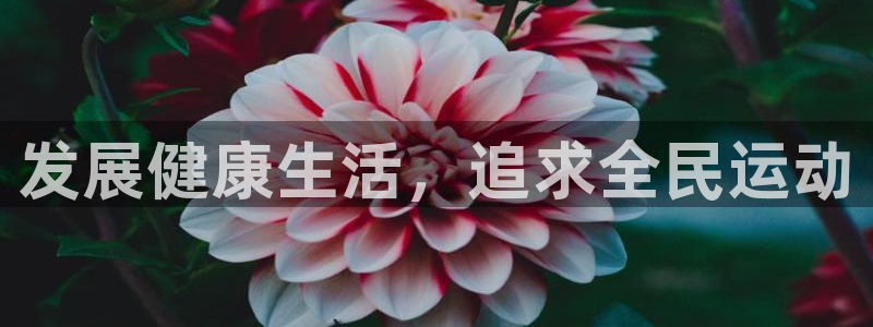 MK体育官方正版app娱乐网站：发展健康生活，追求全
