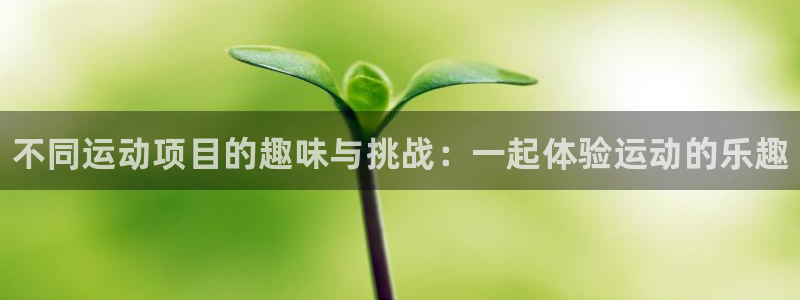 MK体育官方正版app娱乐是那个系列的台子：不同运动