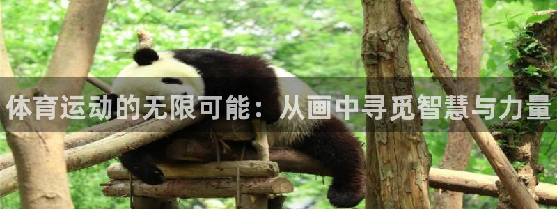 MK体育官网下载注册：体育运动的无限可能：从画中寻觅