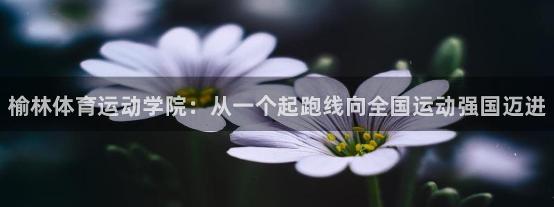 MK体育官方正版app五金厂：榆林体育运动学院：从一