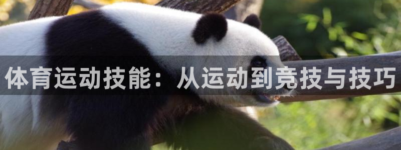 MK体育官网下载平台APP：体育运动技能：从运动到竞