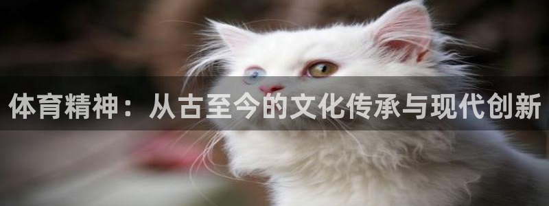 MK体育官网下载平台是正规平台吗知乎：体育精神：从古