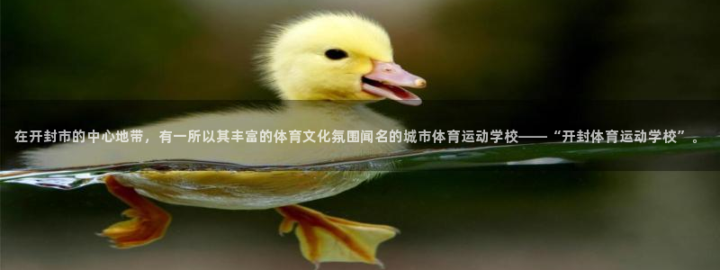 MK体育官方正版app娱乐代理怎么样：在开封市的中心