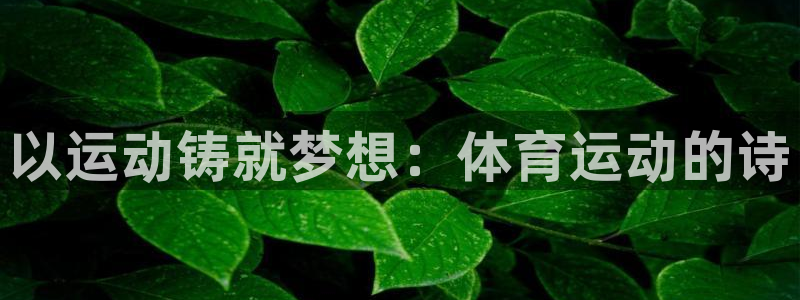 MK体育官方正版app娱乐40996：以运动铸就梦想