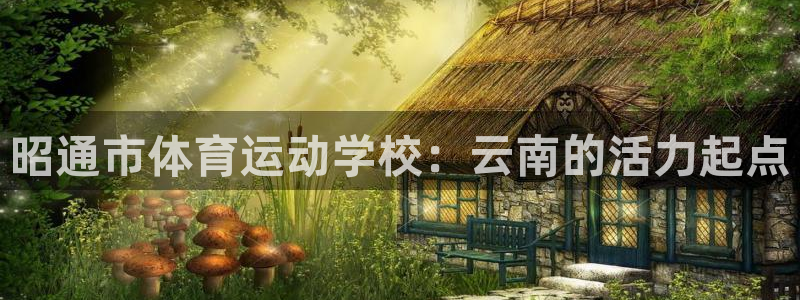 MK体育官网下载平台APP：昭通市体育运动学校：云南