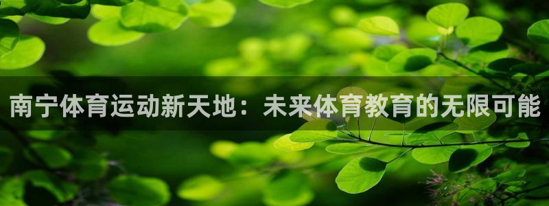 MK体育官方正版app集团logo：南宁体育运动新天
