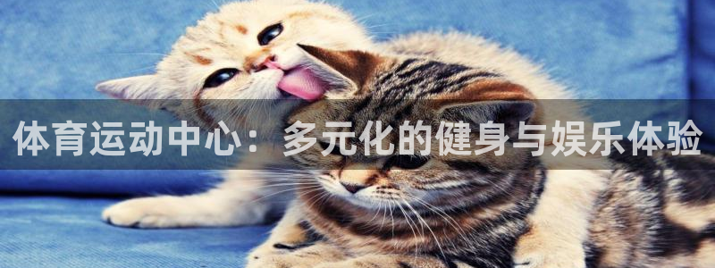 MK体育官网下载招商电话地址：体育运动中心：多元化的