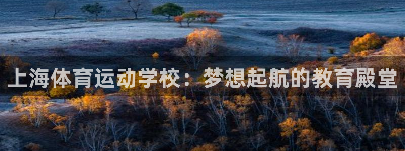 MK体育官方平台体育：上海体育运动学校：梦想起航的教