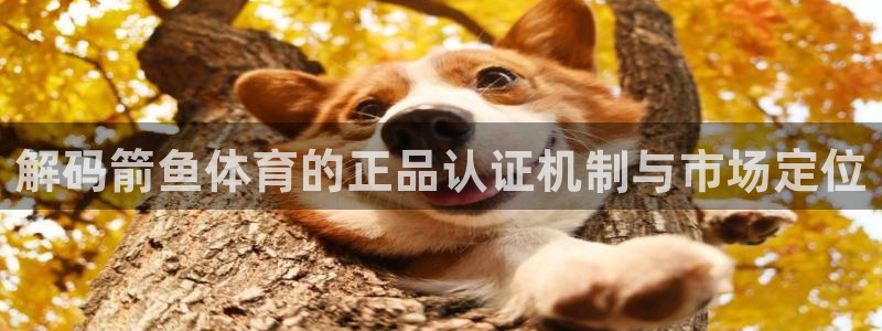 MK体育官网下载招商电话地址：解码箭鱼体育的正品认证