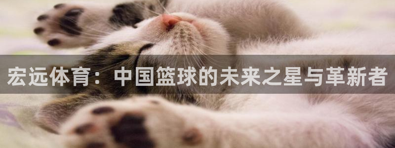 MK体育官方正版app娱乐平台：宏远体育：中国篮球的