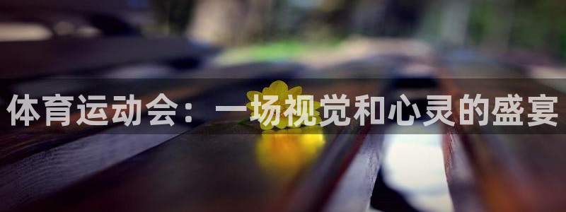 MK体育官方正版app代理：体育运动会：一场视觉和心灵的盛宴