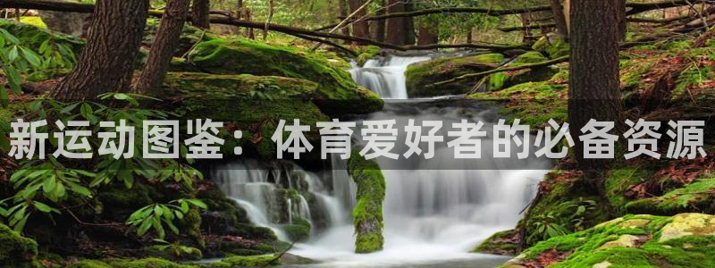 MK体育官方正版app娱乐首页网站大全：新运动图鉴：体育爱好