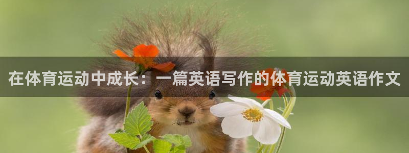 MK体育官网下载是干嘛的公司：在体育运动中成长：一篇英语写作