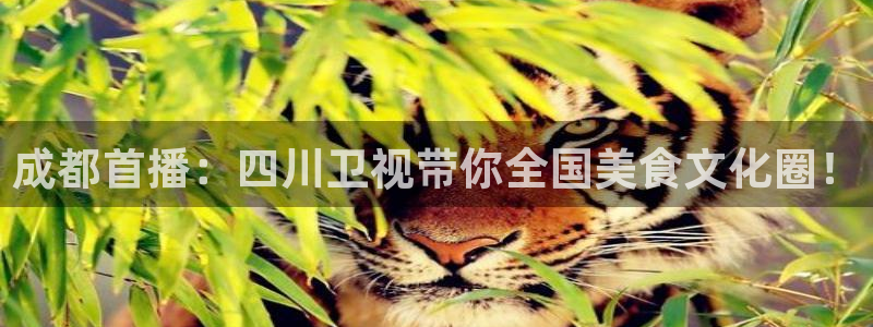 so米直播平台：成都首播：四川卫视带你全国美食文化圈！