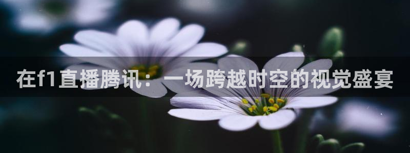 so米篮球直播：在f1直播腾讯：一场跨越时空的视觉盛宴