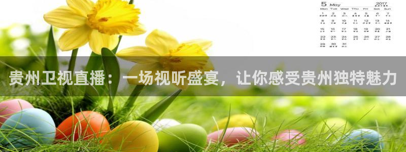 so米体育篮球直播在线观看：贵州卫视直播：一场视听盛宴，让你感受贵州独特魅力