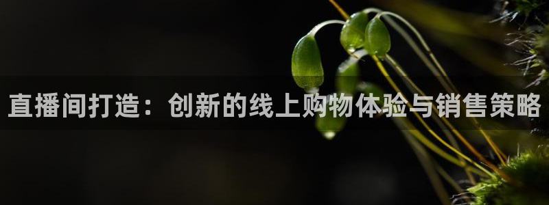 so米体育篮球直播在线观看：直播间打造：创新的线上购物体验与销售策略