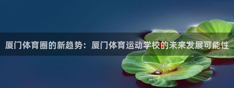 MK体育官方正版app集团官网首页