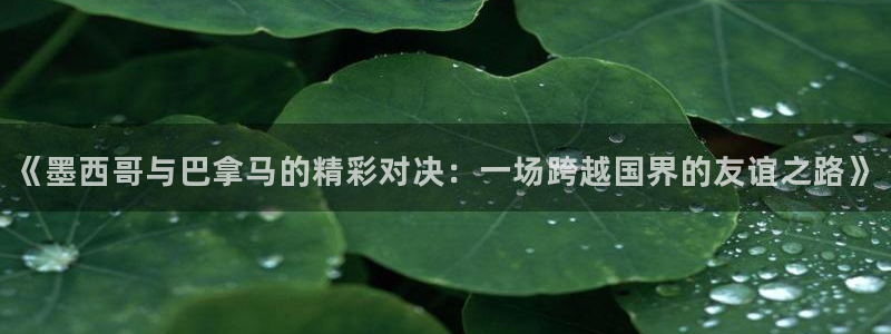 搜米so米体育直播：《墨西哥与巴拿马的精彩对决：一场跨越国界的友谊之路》