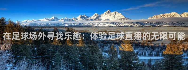 so米体育直播免费下载：在足球场外寻找乐趣：体验足球直播的无限可能