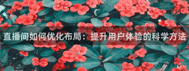 so米综合体育直播平台：直播间如何优化布局：提升用户体验的科学方法
