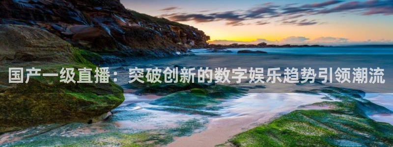 so米体育：国产一级直播：突破创新的数字娱乐趋势引领潮流
