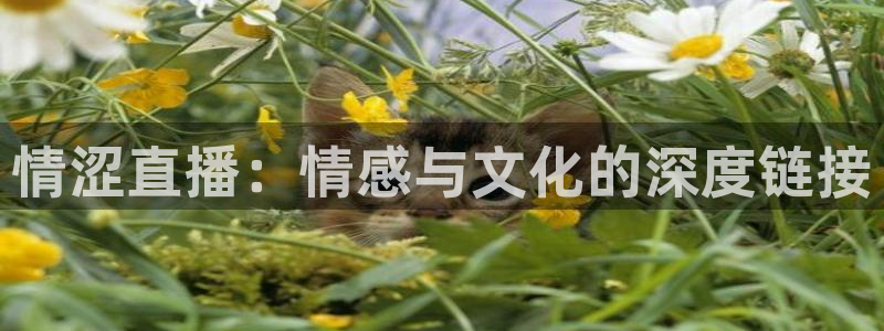 so米直播足球：情涩直播：情感与文化的深度链接