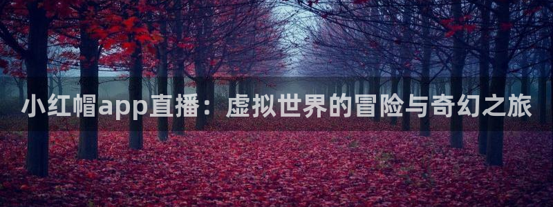 so米体育nba免费直播：小红帽app直播：虚拟世界的冒险与奇幻之旅